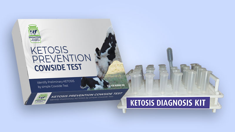 Ketosis Diagnostic Kit